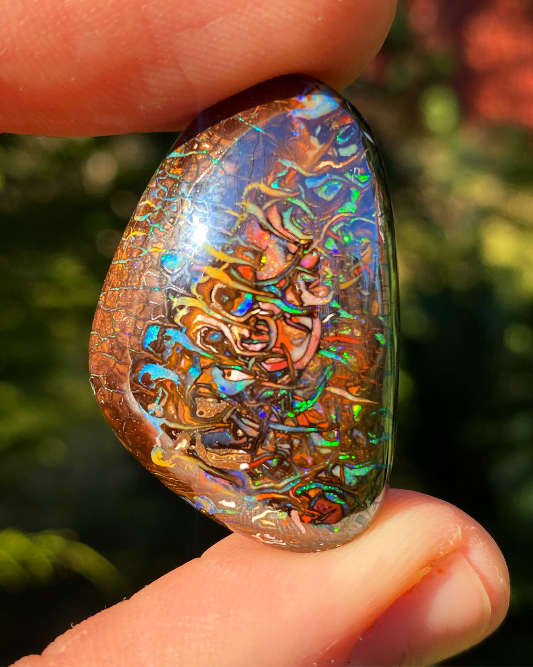 En slipad Boulder Opal från Australien