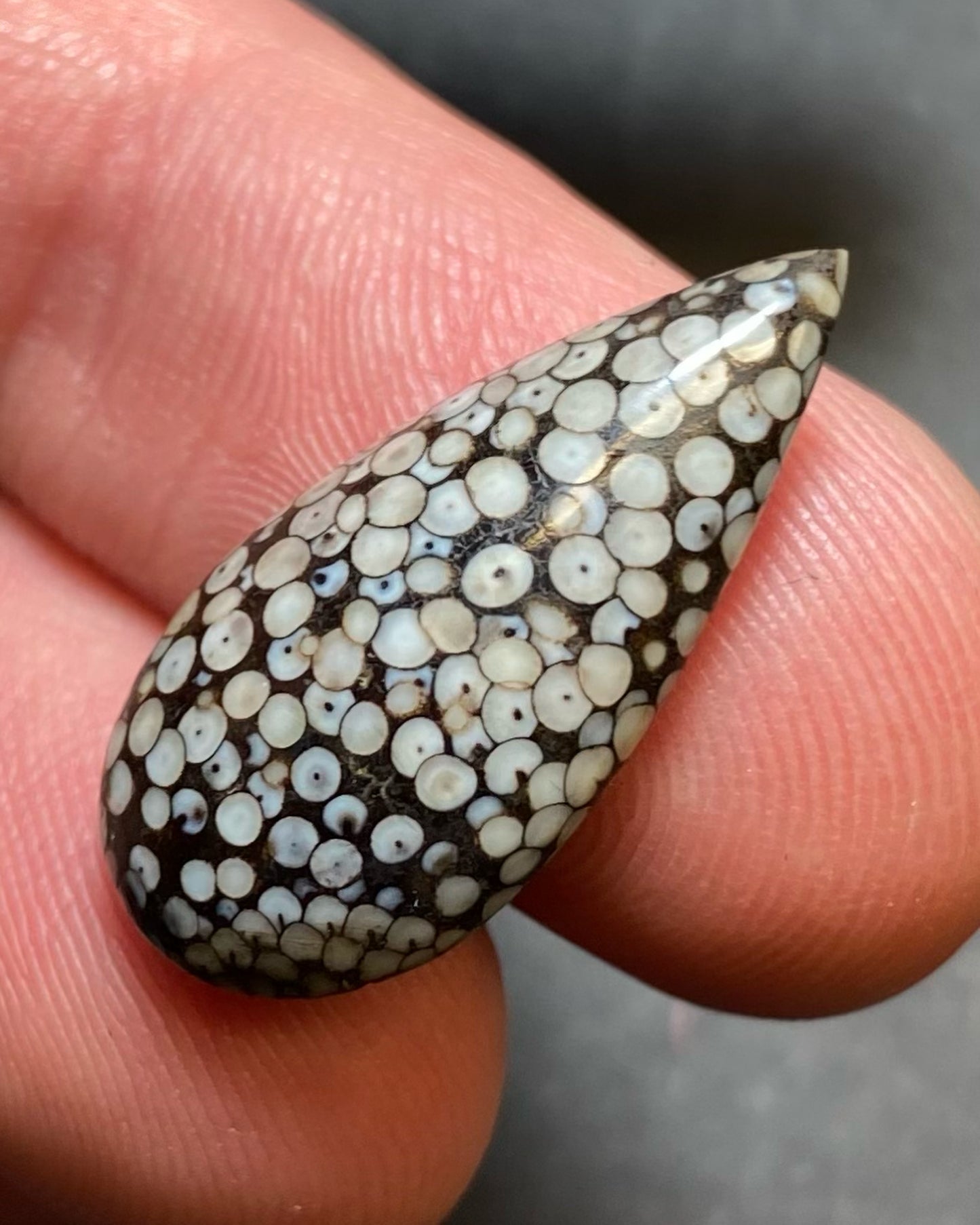 "Snakeskin", Cabochon - 13.3ct